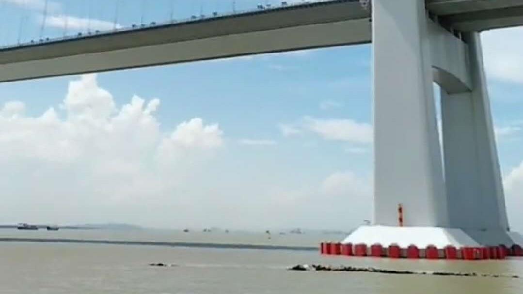 下洲水道大桥主缆重量为30120吨，该桥“中国芯”重量为3800吨
