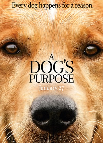 《一条狗的使命》电影A Dog's Purpose影评及详情