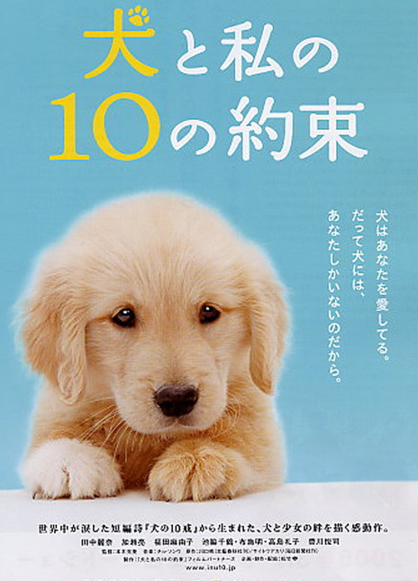 狗狗与我的十个约定电影海报
