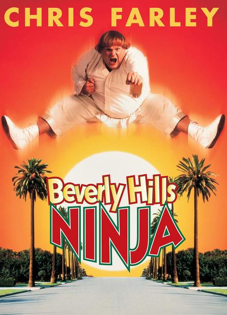 《比佛利武士》好看不？Beverly Hills Ninja怎么评价？