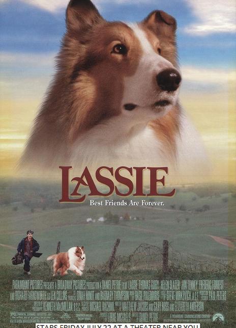 《新灵犬莱西》好看不？Lassie怎么评