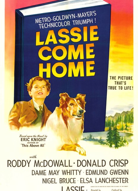 《灵犬莱西》好看不？Lassie Come Home怎么评价？