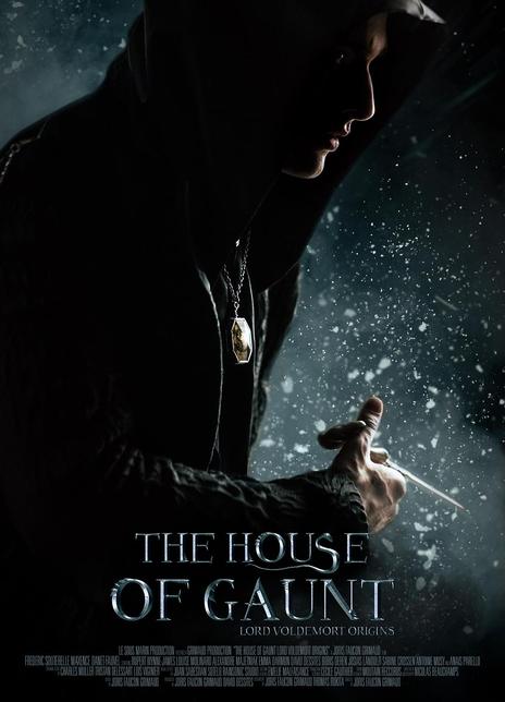 《冈特家族：伏地魔起源》电影The House of Gaunt: Lord Voldemort Origins影评及详情